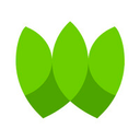 Wio Capital