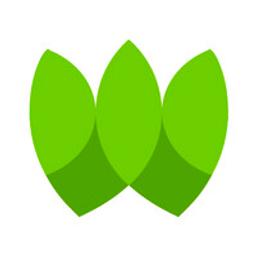 Wio Capital