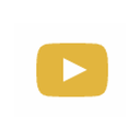 YouTube Transcript Generator