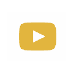 YouTube Transcript Generator